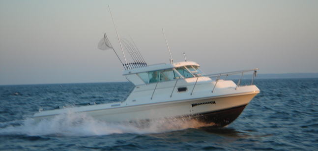 Lake Erie Charter Fishing Resources